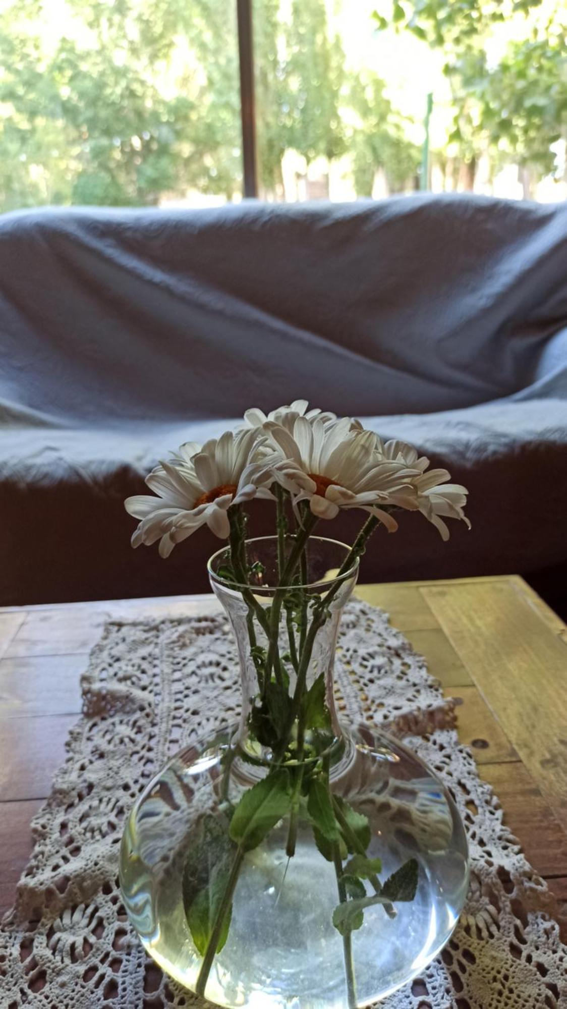 Hosteria Uspallata Bagian luar foto