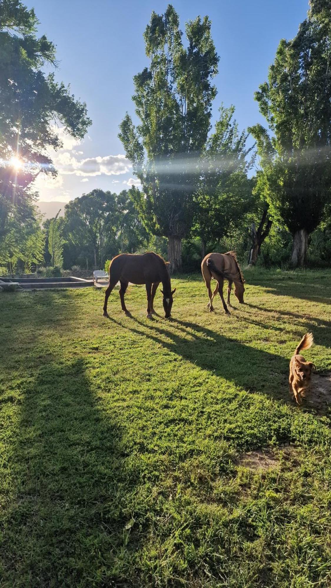 Hosteria Uspallata Bagian luar foto